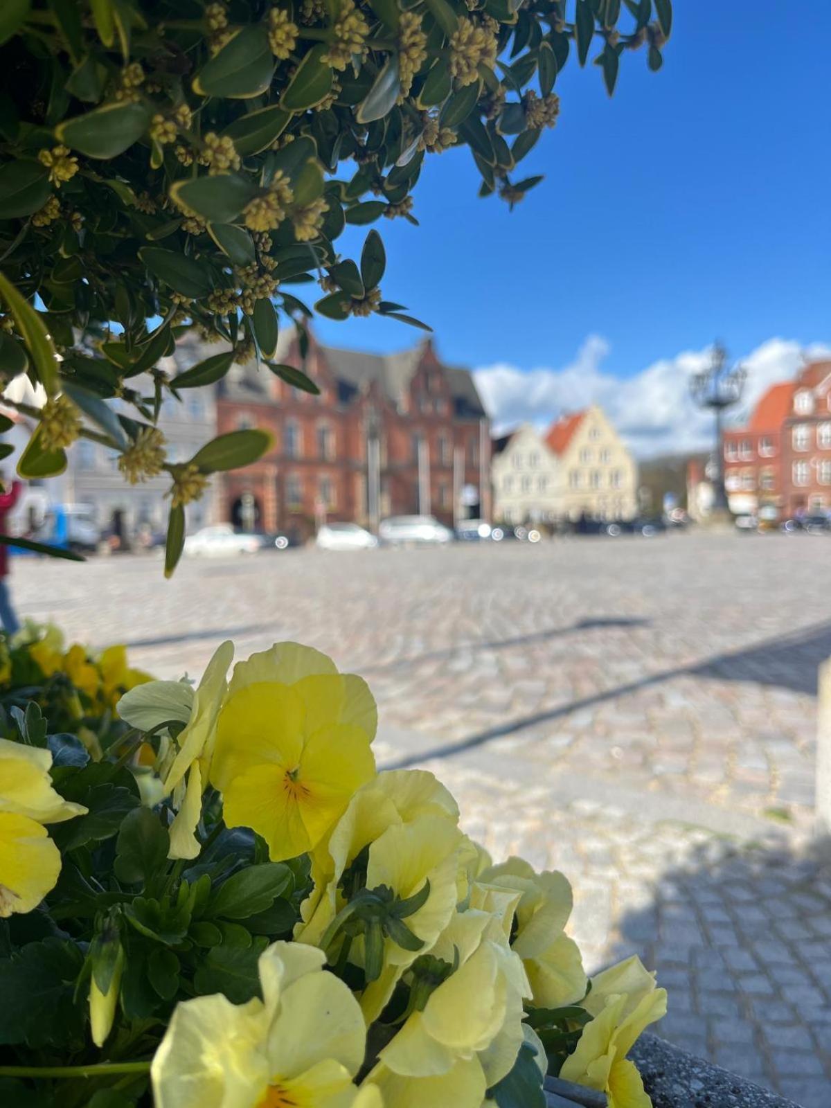 Ferienwohnungen Glückstadt Dış mekan fotoğraf
